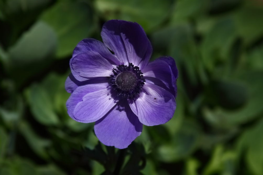 2012 06 07 5415